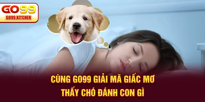 Cùng GO99 giải mã giấc mơ thấy chó đánh con gì